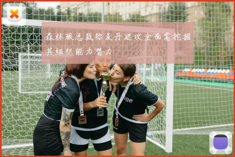 森林狼总裁称麦丹进攻全面需挖掘其组织能力潜力