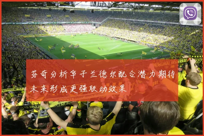 芬奇分析华子兰德尔配合潜力期待未来形成更强联动效果